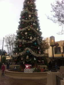 Christmas 2012 Disneyland 001