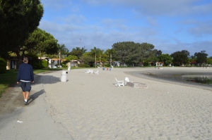 Paradise Pointe has a great beach to explore with your pooch.